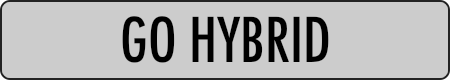 GO HYBRID