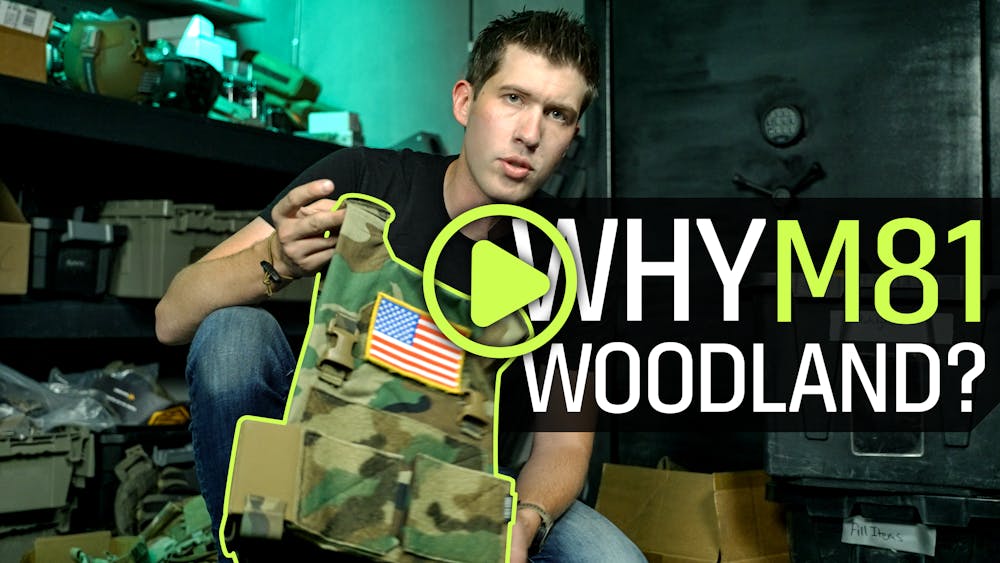 Why M81 Woodland