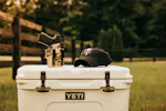 T.REX Big League Cap