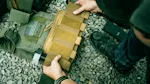 T.REX Shingle - 5.56