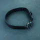 T.REX Speed Belt - Outer