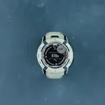Garmin Instinct 2X Solar