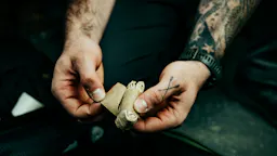 NAR Bear Claw Gloves