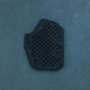 T.REX Raptor Holster Backer