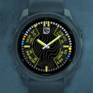 T.REX Quad Garmin Watch Face