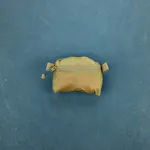 T.REX Packable Loot Bag