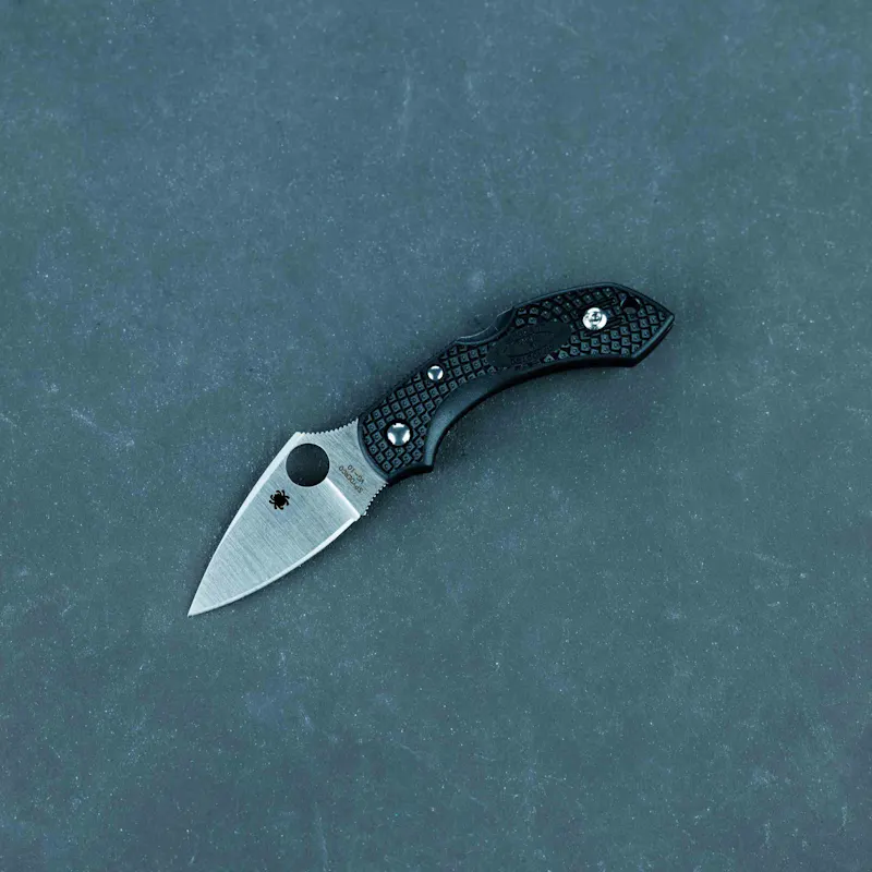 Spyderco Dragonfly 2 Knife - VG-10 Steel, Plain Edge, Black FRN