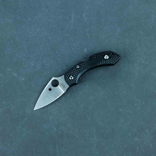 Spyderco Dragonfly 2 Knife