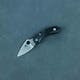 Spyderco Dragonfly 2 Knife