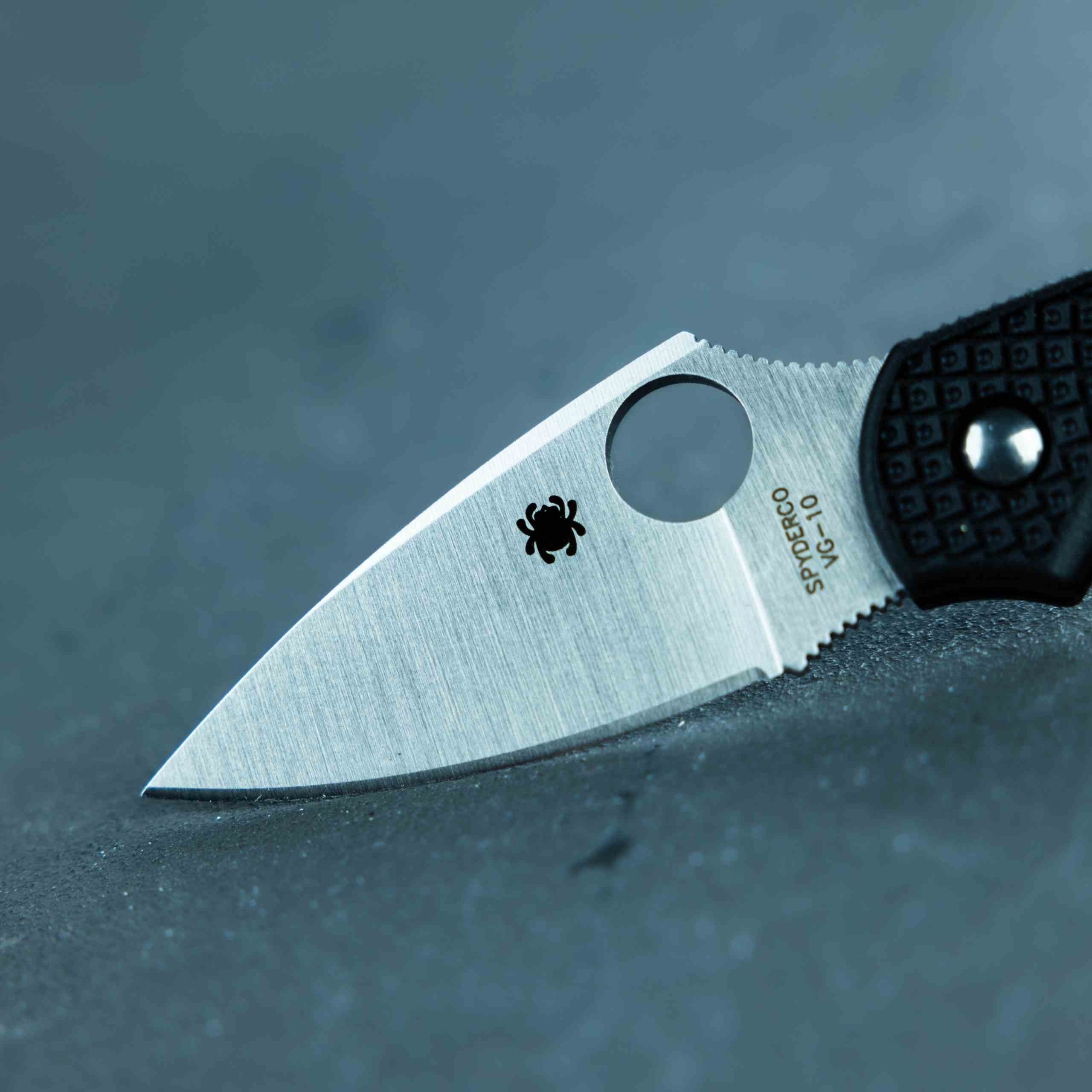 Spyderco Dragonfly 2 Knife