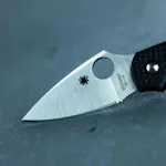 Spyderco Dragonfly 2 Knife