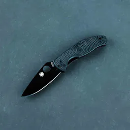 Spyderco Tenacious Lightweight Knife
