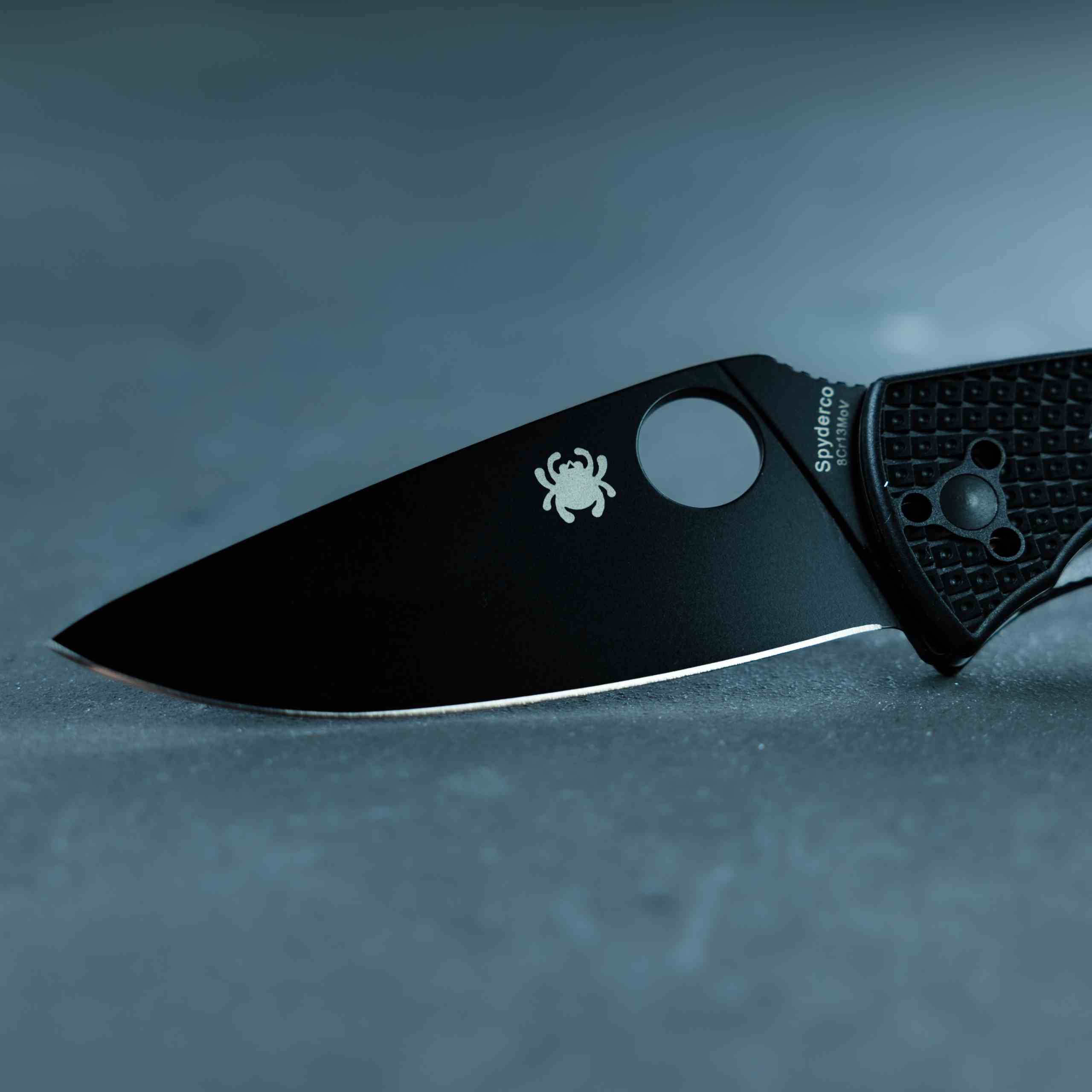Spyderco Tenacious Lightweight Knife