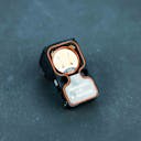 Trijicon RMRcc Red Dot Sight