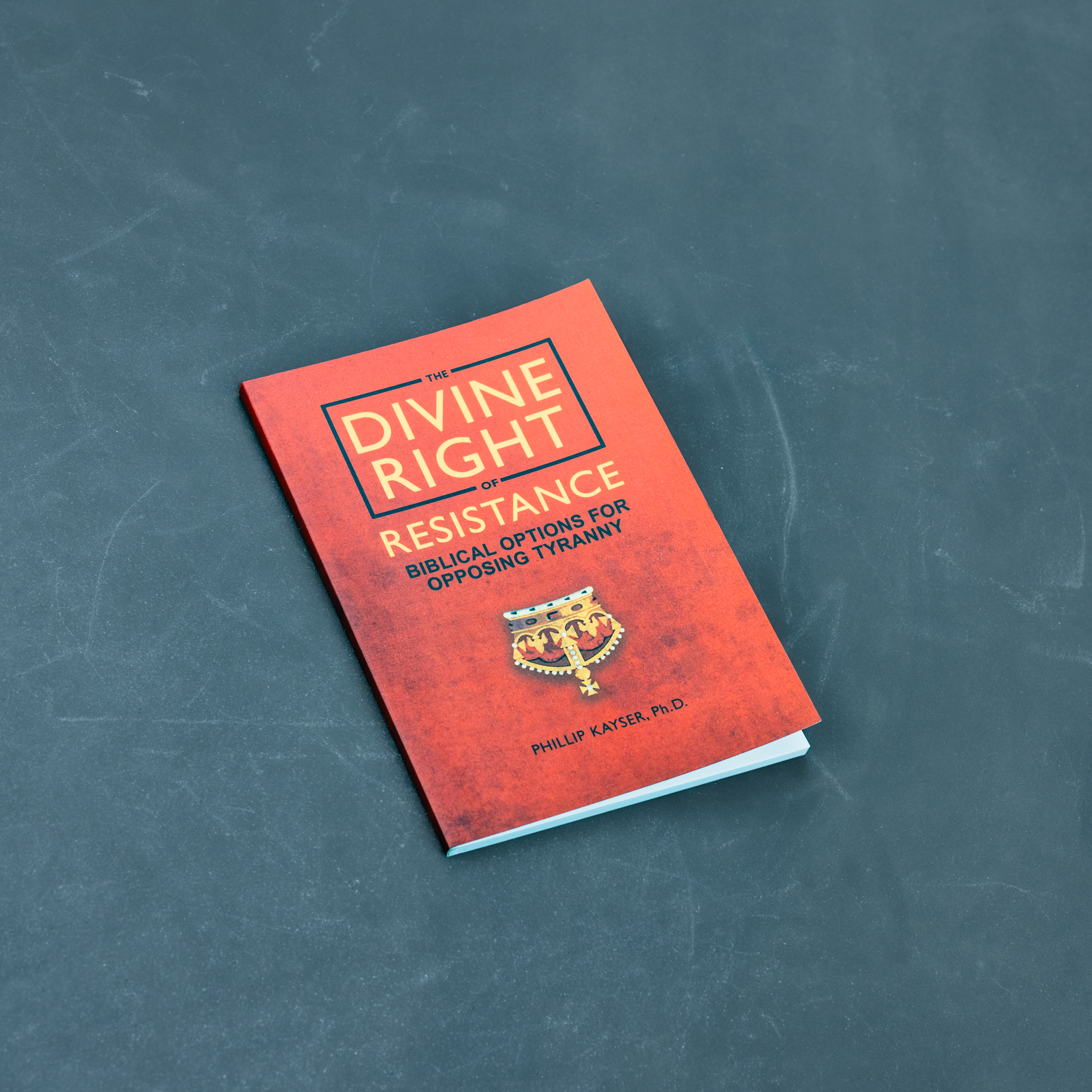 The Divine Right of Resistance by Phillip Kayser