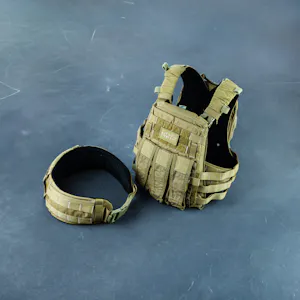 AMR: Crye Precision AVS Plate Carrier Package