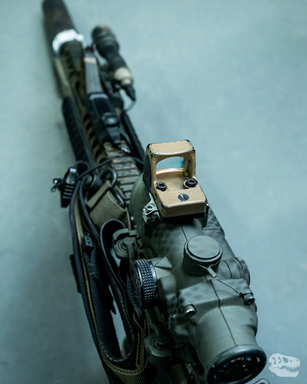 T.REX ARMS sling and rattlecan paint job