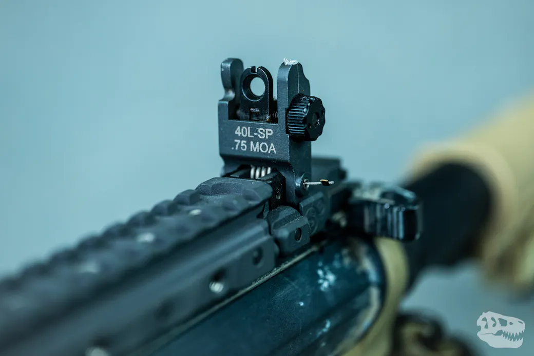 Rear sight built into handguard