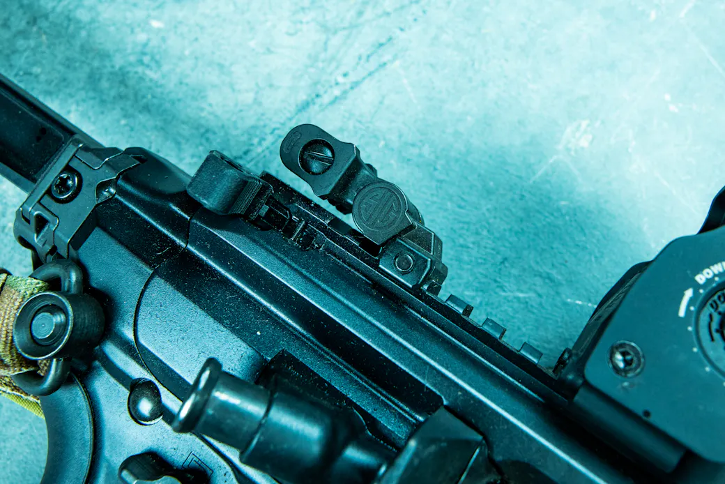 Sig flip-up iron sights